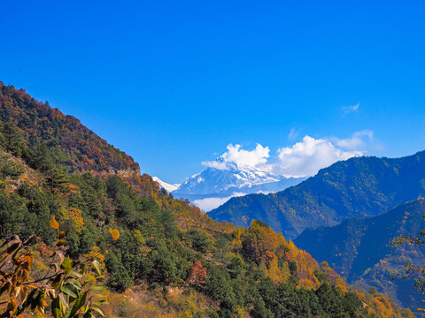 牛背山风光