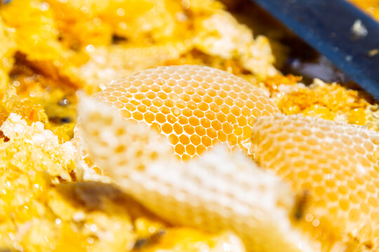 蜂巢蜂蜡