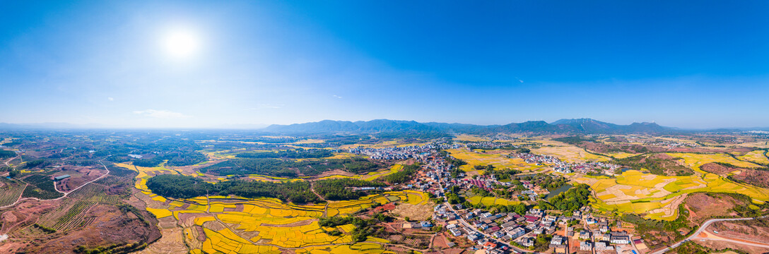 超大画幅航拍乡村稻田全景图