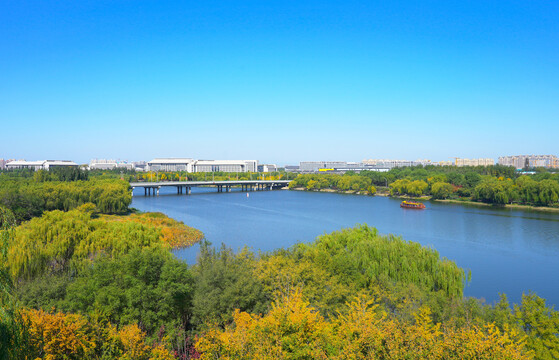 北京通州大运河秋色