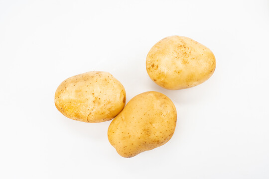 土豆马铃薯