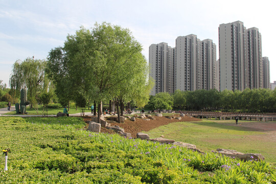 城市中央公園