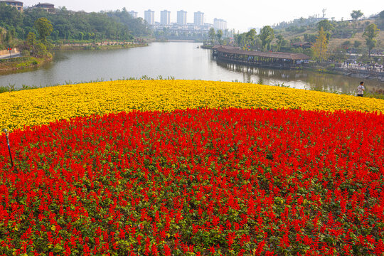 花田景观