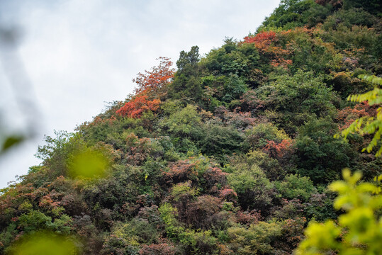 圭峰山秋景