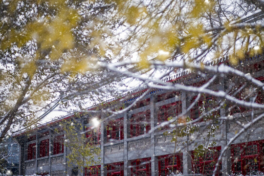 北京大学冬天雪景图
