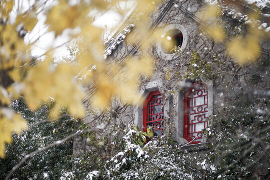 北京大学冬天雪景图