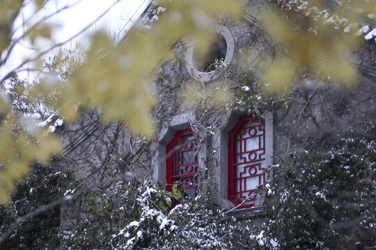 北京大学冬天雪景图