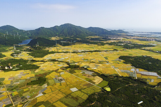 田园风光