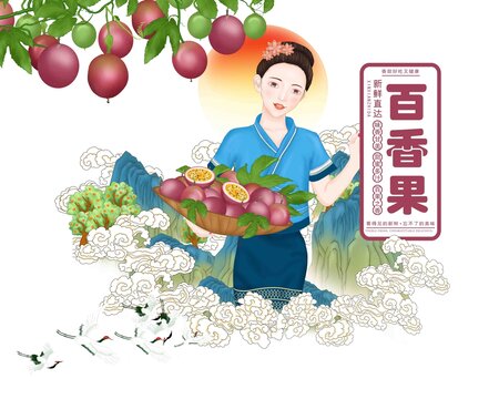 百香果禮盒包裝