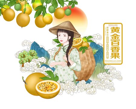 百香果包裝禮盒