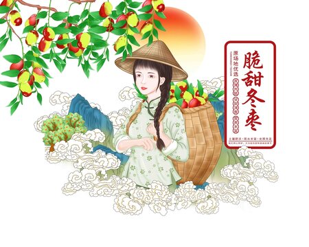 冬棗包裝插畫