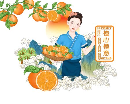 橙子包裝插畫