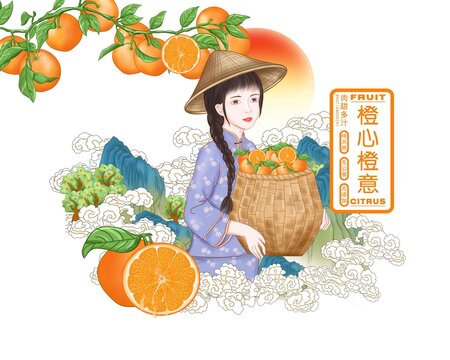 橙子包裝插畫