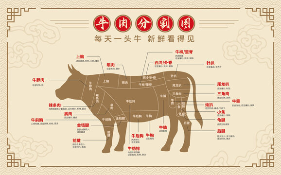 牛肉分割部位图