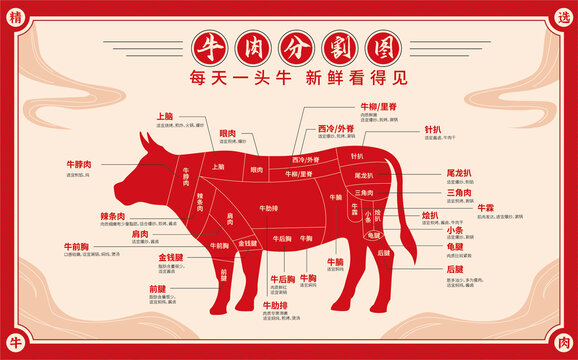 牛肉部位分割圖