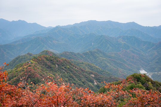 西安圭峰山秋景