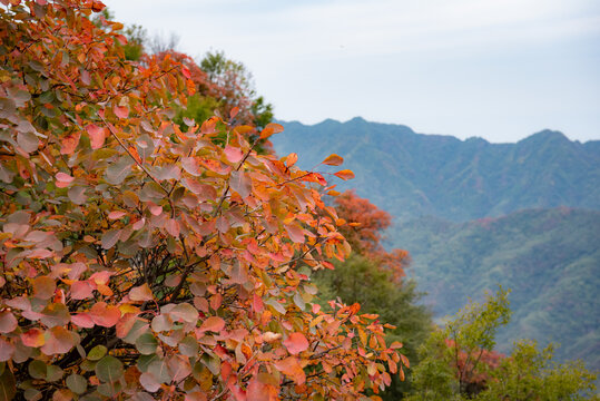 圭峰山秋景