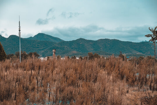 秋日的寂静山顶