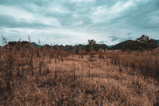 秋日的寂静山顶