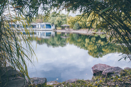 湖畔风景