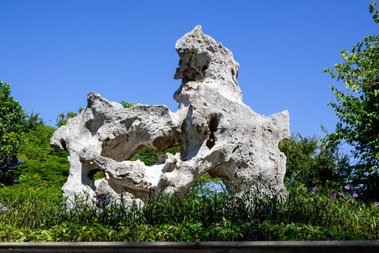 顺峰山公园景观石