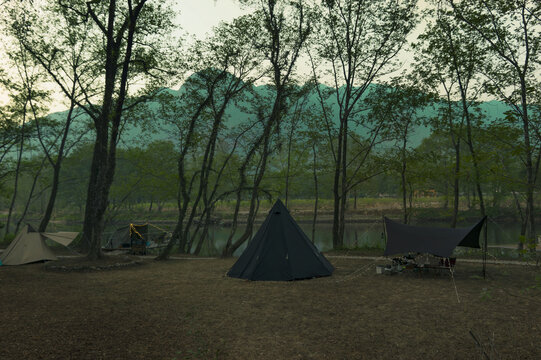 树林露营营地