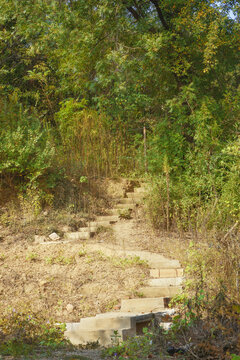 山野石阶小路