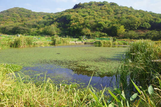 山林与湖景