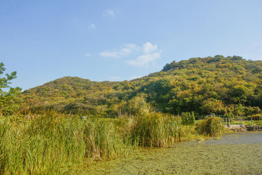 湖畔美景