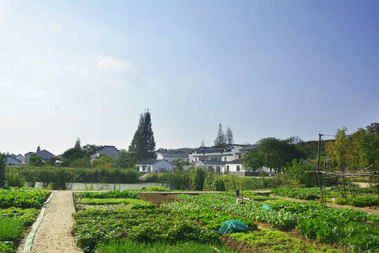 江南民居生活场景