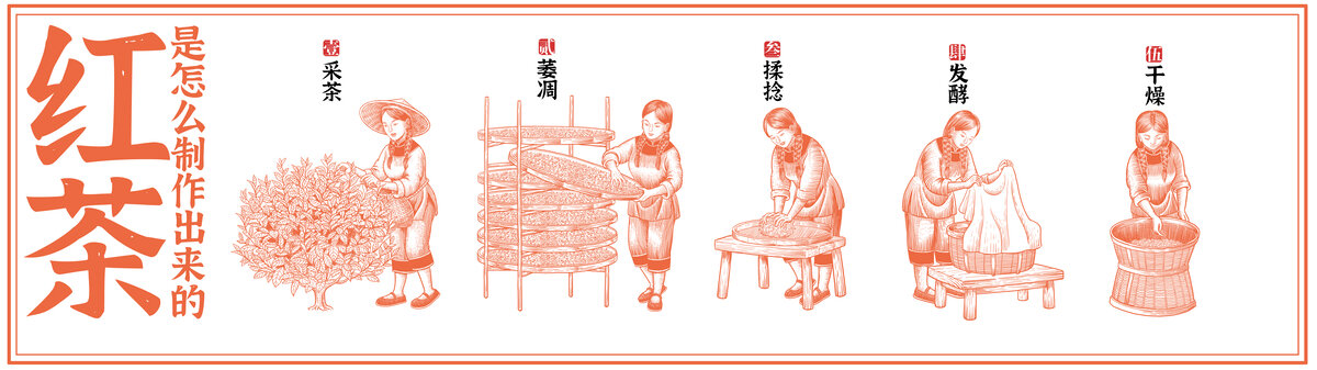 紅茶制作工藝