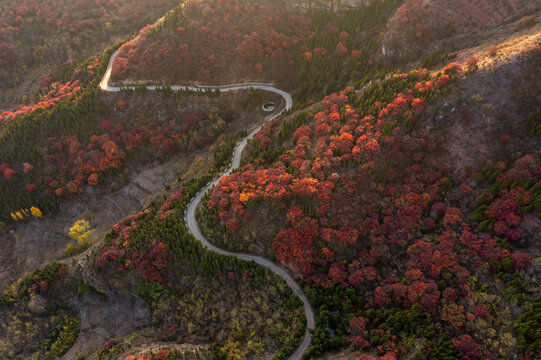 美丽的山岭秋色