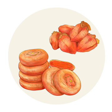 手绘水彩水果柿饼