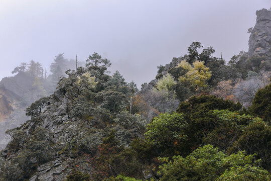 云雾缭绕高山峭壁秋色风景