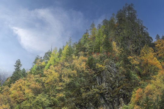 云雾缭绕高山峭壁秋色风景