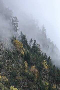 云雾缭绕高山峭壁秋色风景