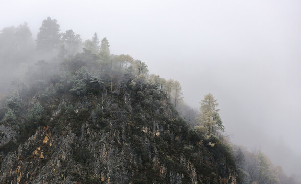 云雾缭绕高山峭壁秋色风景