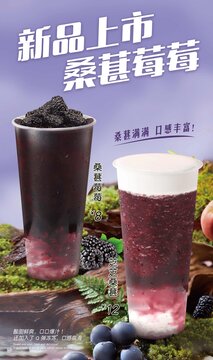 桑葚海報