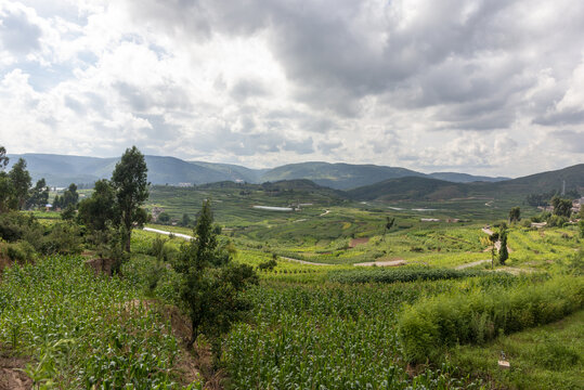 山地高原