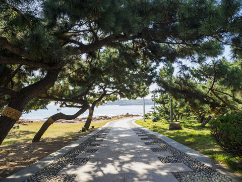 青岛海滨健身步道