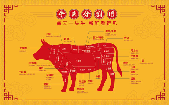 牛肉部位分割圖