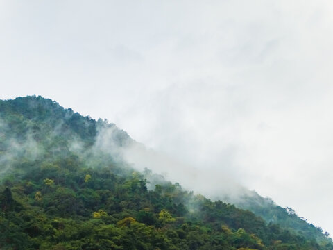 高山云雾