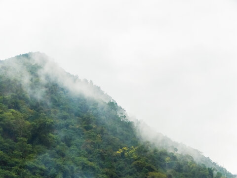 高山云雾