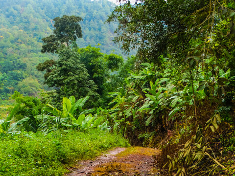 泥泞山路