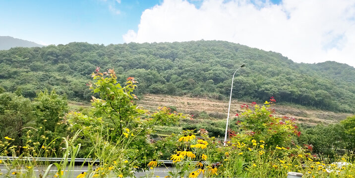 沿途风景