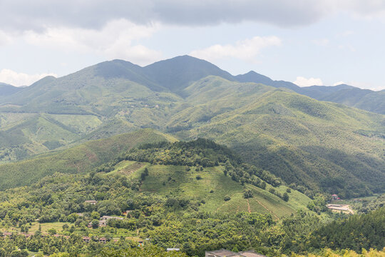 青山