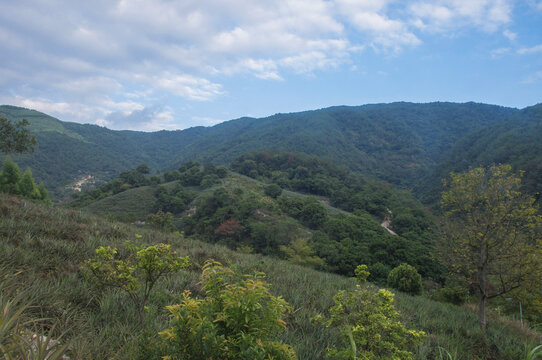 山丘丘陵地形