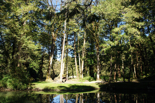 阿里山邹族文化村