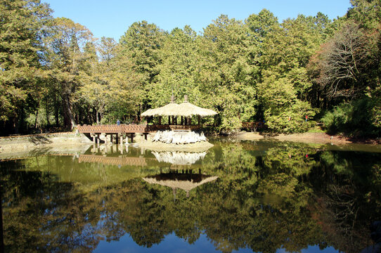 阿里山邹族文化村