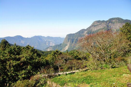 阿里山邹族文化村